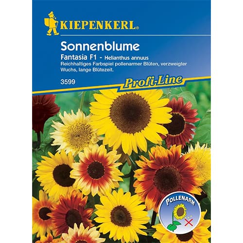 Okrasná slnečnica Fantasia F1 obrázok 1 artikel 86320