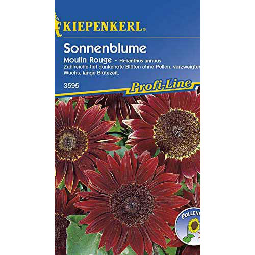 Okrasná slnečnica Moulin Rouge obrázok 1 artikel 86325