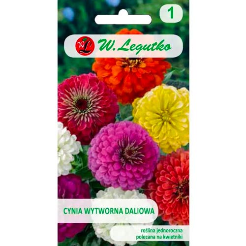 Ostnatá sedmokráska, směs obrázok 1 artikel 50088