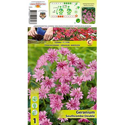 Pakost Southecombe Double obrázok 1 artikel 70391