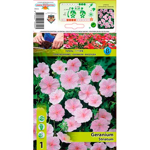 Pakost Striatum obrázok 1 artikel 76584