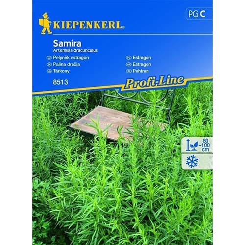 Palina dračia Samira obrázok 1 artikel 87780