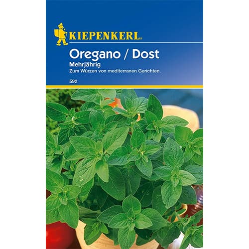 Pamajorán obyčajný mnohoročná obrázok 1 artikel 77483