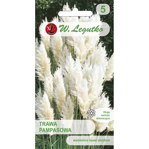 Pampová tráva biela artikel fotografia 1 Pampová tráva biela obrázok 1 artikel 69634
