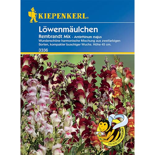 Papuľka väčšia Rembrandt obrázok 1 artikel 86286