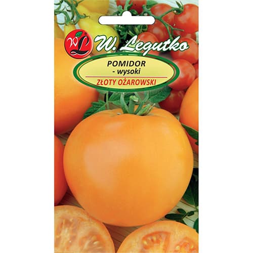 Paradajka poľná vysoká Złoty Ożarowski obrázok 1 artikel 86889