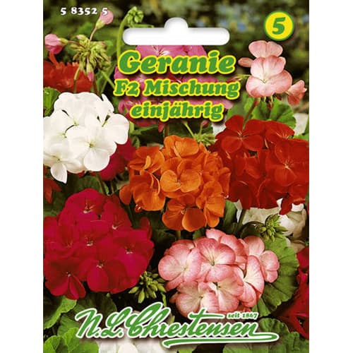 Pelargónia (Geranium) F2, zmes artikel fotografia 1 Pelargónia (Geranium) F2, zmes obrázok 1 artikel 78929