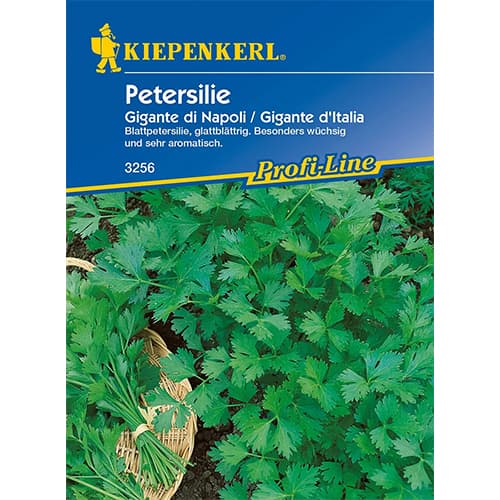 Petržlen záhradný Gigante di Napoli obrázok 1 artikel 96644