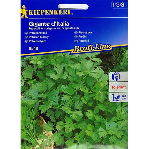 Petržlen záhradný Gigante d'Italia obrázok 1 artikel 86503