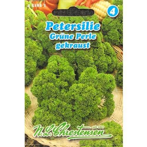 Petržlen záhradný Grune Perle obrázok 1 artikel 87849