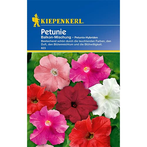 Petúnia balkonová, zmes obrázok 1 artikel 86298