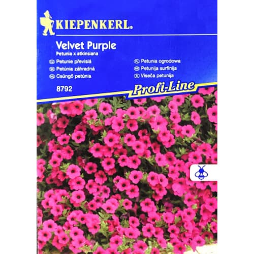 Petúnia Velvet Purple F1 obrázok 1 artikel 50061