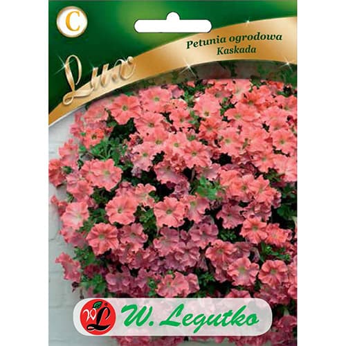 Petúnia záhradná Kaskada lososová obrázok 1 artikel 78671