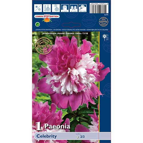 Pivonka Celebrity artikel fotografia 1 Pivonka Celebrity obrázok 1 artikel 76129