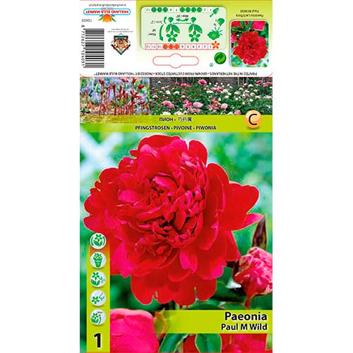 Pivonka Paul M Wild obrázok 1 artikel 76338