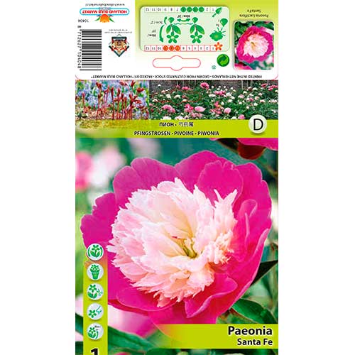 Pivonka Santa Fe artikel fotografia 1 Pivonka Santa Fe obrázok 1 artikel 76339