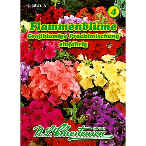 Plamienka Drummondova mnohokvetá, zmes obrázok 1 artikel 86180