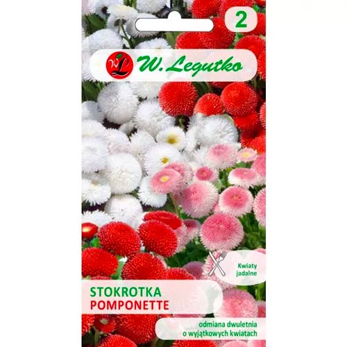 Pomponette sedmokráska, mix obrázok 1 artikel 69631