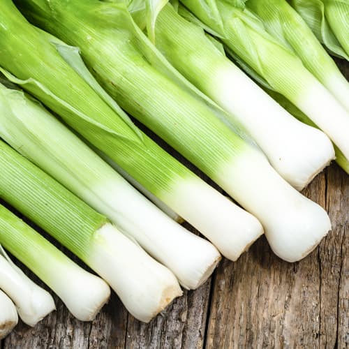 Pór Elefant obrázok 1 artikel 78755