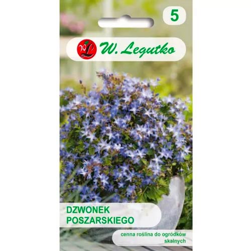 Poszarski zvonček obrázok 1 artikel 50097