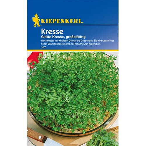 Potočnica (Žerucha siata) Glatte obrázok 1 artikel 77464