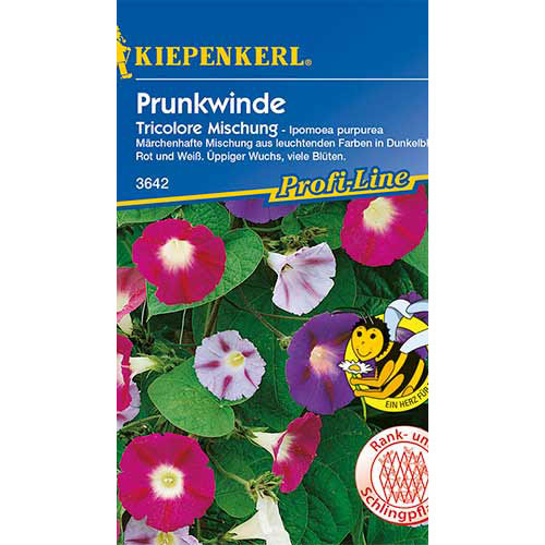 Povojník pirpurový Tricolor, zmes obrázok 1 artikel 86303