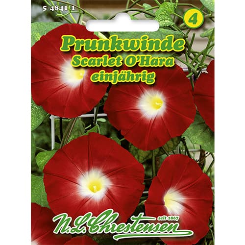 Povojník purpurový Scarlet O`Hara obrázok 1 artikel 86179