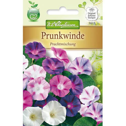 Povojník purpurový, zmes obrázok 1 artikel 78983