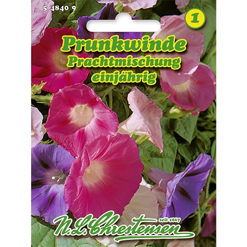 Povojník purpurový, zmes obrázok 1 artikel 86178