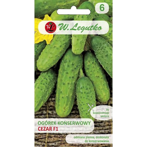 Poľná nakladaná uhorka Cezar F1 obrázok 1 artikel 86874