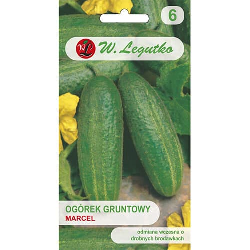 Poľná nakladaná uhorka Marcel F1 obrázok 1 artikel 86877