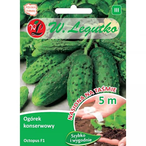 Poľná nakladaná uhorka Octopus F1 obrázok 1 artikel 86878