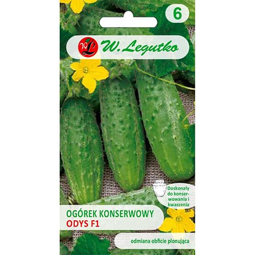 Poľná nakladaná uhorka Odys F1 obrázok 1 artikel 86879