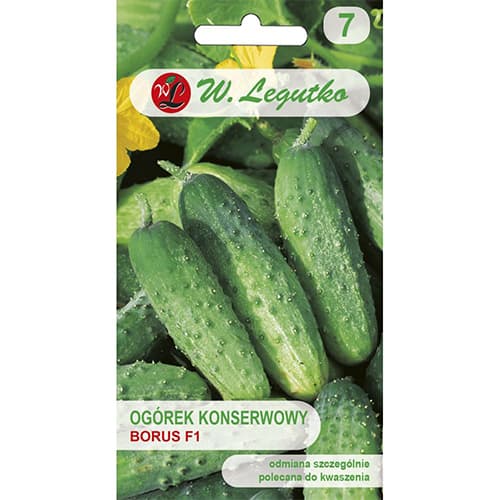 Poľná uhorka na morenie Borus F1 obrázok 1 artikel 86882