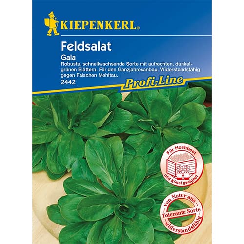 Poľný šalát Gala obrázok 1 artikel 86450
