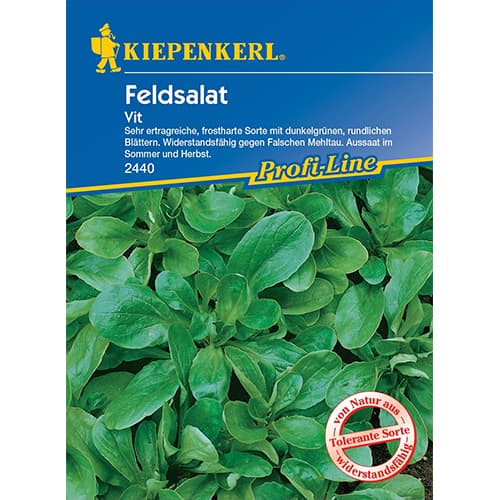 Poľný šalát Vit artikel fotografia 1 Poľný šalát Vit obrázok 1 artikel 77495