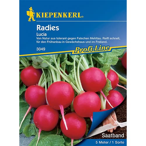 Reďkovka Lucia F1 obrázok 1 artikel 86510