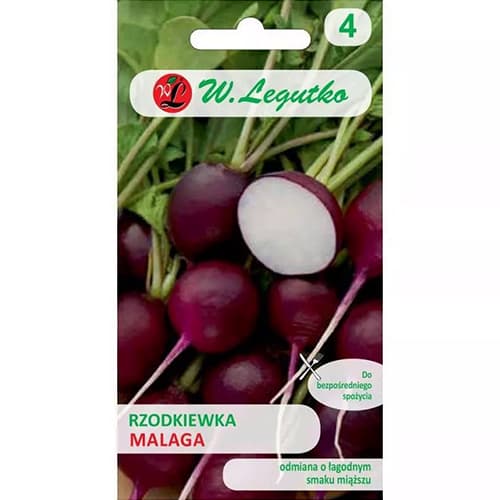 Reďkovka Malaga fialová artikel fotografia 1 Reďkovka Malaga fialová obrázok 1 artikel 86896