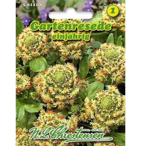 Rezeda voňavá obrázok 1 artikel 96441