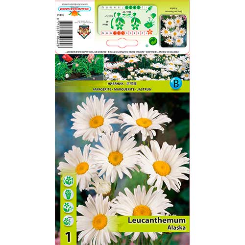 Rimbaba Alaska obrázok 1 artikel 76612