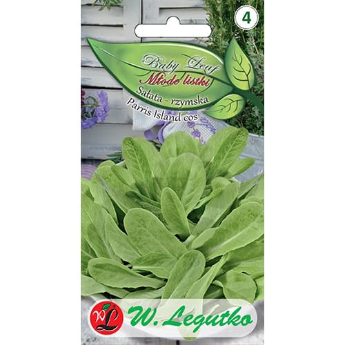 Rímsky šalát Parris Island cos - Baby Leaf artikel fotografia 1 Rímsky šalát Parris Island cos - Baby Leaf obrázok 1 artikel 86714