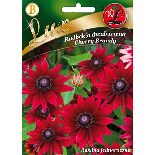 Rudbeckia dvojfarebná Cherry Brandy obrázok 1 artikel 96777