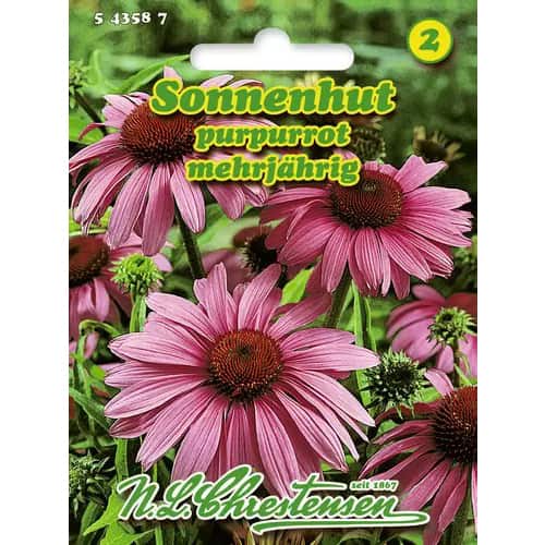 Rudbekia purpurová mnohokvetá (Echinacea) obrázok 1 artikel 96443