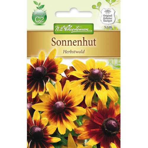 Rudbekia srsnatá Herbstwald obrázok 1 artikel 78934