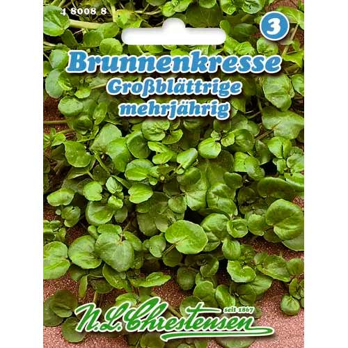 Rukiew wodna, semená obrázok 1 artikel 96599