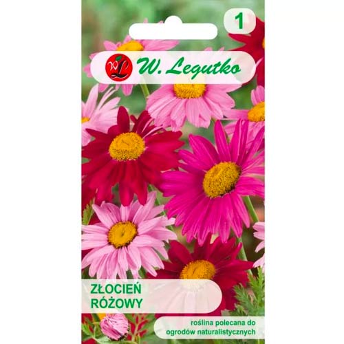 Ružový pyretrum, zmes obrázok 1 artikel 50125