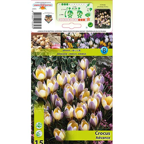 Šafran Advance obrázok 1 artikel 68060