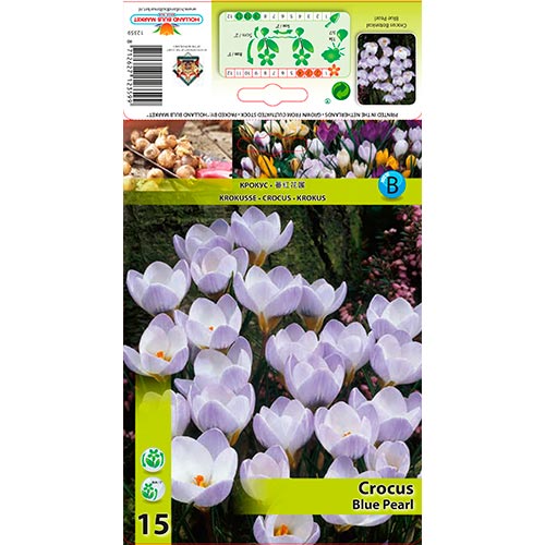 Šafran Blue Pearl obrázok 1 artikel 67327