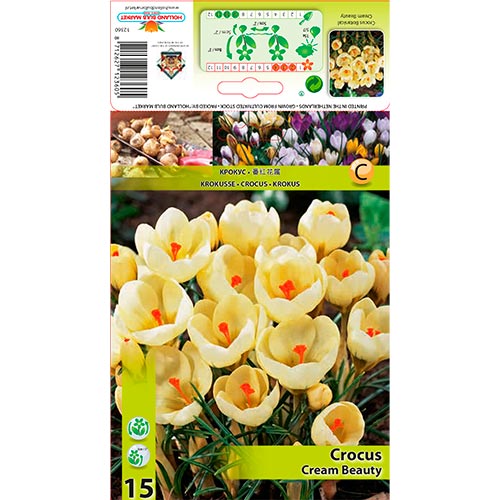 Šafran Cream Beauty obrázok 1 artikel 67328