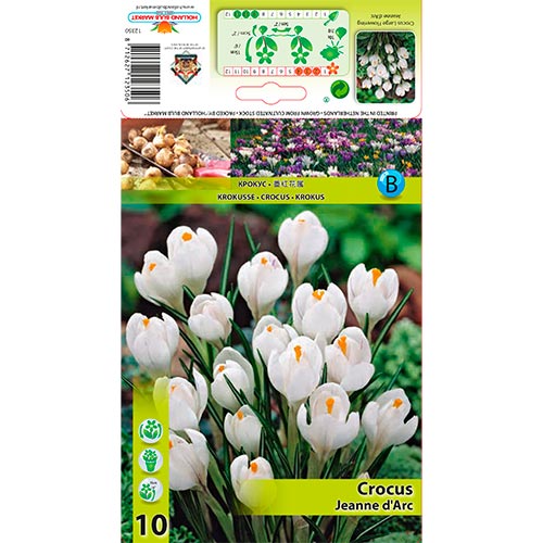 Šafran Jeanne d' Arc obrázok 1 artikel 67332